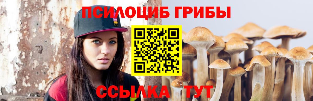 Псилоцибиновые грибы Psilocybe  как найти закладки  Галлюциногенные грибы мицелий  Псков  Вход с VPN 